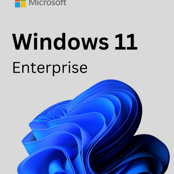 Windows 11 enterprise